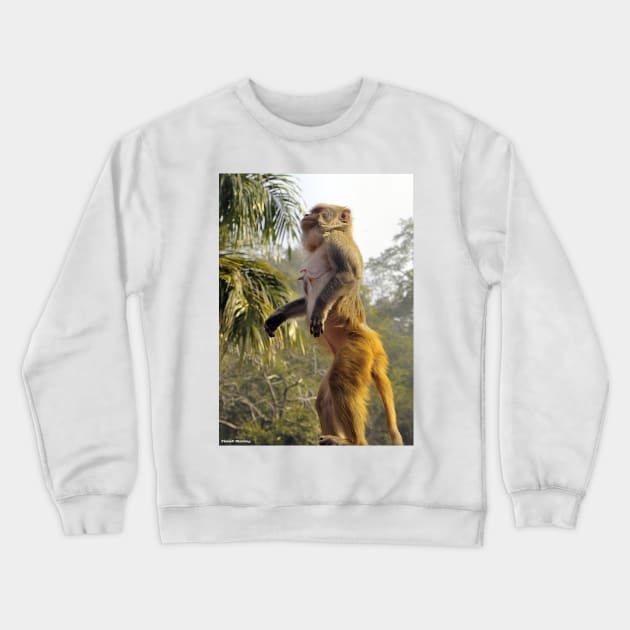 Amazing Monkey Stand Up for your rights Crewneck Sweatshirt by PlanetMonkey